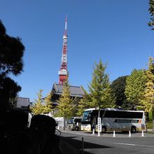 東京タワーが見えます