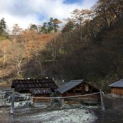 源泉が沸く湿地帯