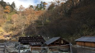 源泉が沸く湿地帯