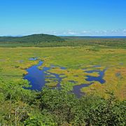 湿原の原風景。行くのは結構大変です