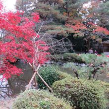 いい場所もあるが。。