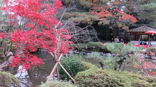 庭園である神苑に入るが、手入れが今一つ。。。