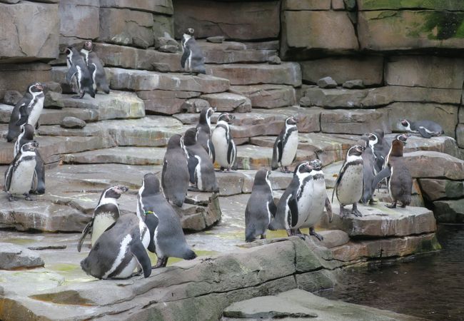 歴史ある動物園