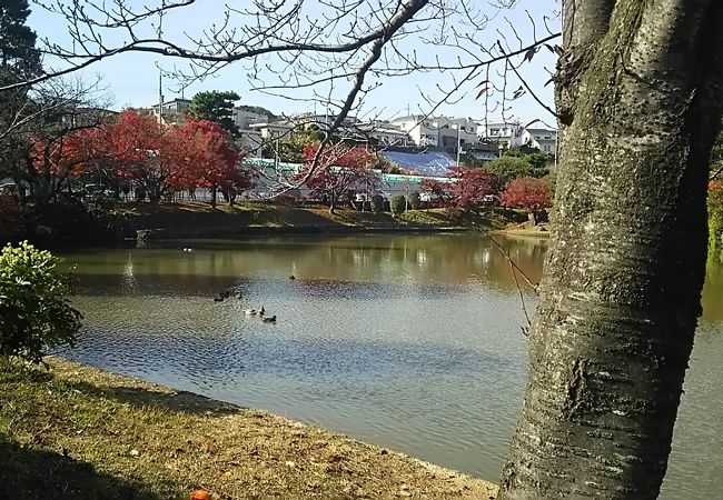 以楽公園