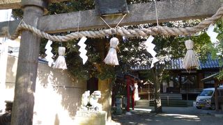 小さく時代を感じる鳥居が印象に残りました