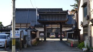 外見は至ってシンプルです