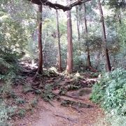 葛原岡・大仏散策コース 