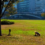 四季折々に景色が変わる天神橋