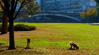 四季折々に景色が変わる天神橋