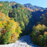 紅葉の季節にこそ