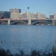 ボストンで河畔散策を楽しむならこちらへ。