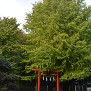 京浜急行追浜駅近くの中規模神社