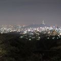 駐車場待ちの渋滞が凄かったが、夜景はばっちり。