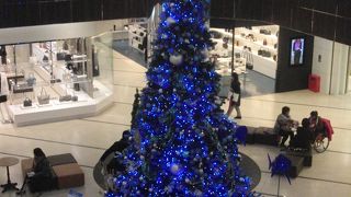 ドリーのツリー