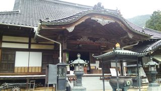 アジサイ寺