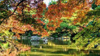 ～★☆紅葉真っ盛りの圓山公園☆★～