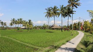 気持ちいいい田園散策