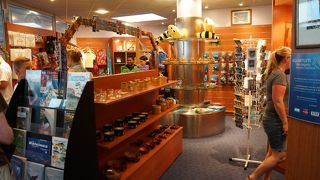 小さいので回りやすい