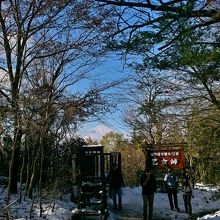 乙女峠口から登りました