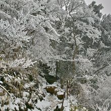 3月、登る途中ずっと樹氷が美しく、とても気持ちいいい登山がで