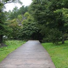 木道を進んでいくと土道路にかわります