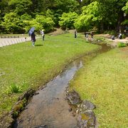 5月の第4日曜日に開催されます