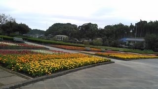 変化に富んだ素敵な公園