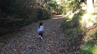 子連れハイキング