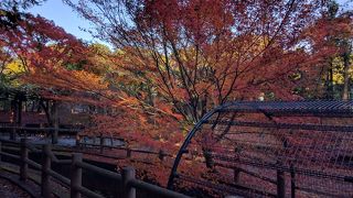 隠れた紅葉の名所