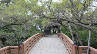 桜の季節でもなく、紅葉の時期でもない、なんでもない時に行ってみました。