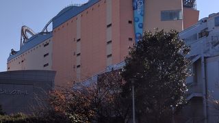 東京のど真ん中で絶叫