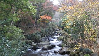 熱海梅園は渓流のせせらぎと紅葉の名所