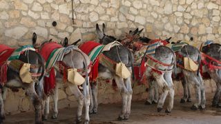 村への入口の広場