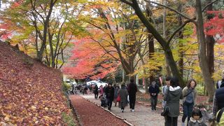 毘沙門堂の紅葉2016/11/23(祝）