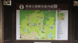 大きな公園。鹿がたくさんいます