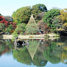 六義園の雪吊り