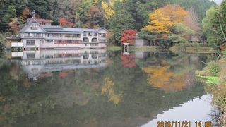 紅葉が見ごろでした。