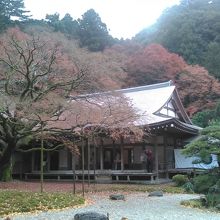 日本の秋の寺