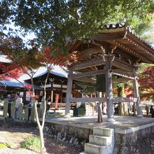 本堂周辺の紅葉