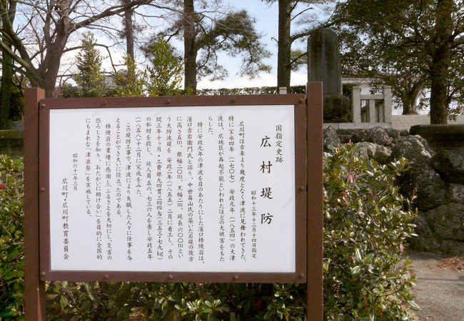 広村堤防 クチコミ アクセス 営業時間 湯浅 広川 フォートラベル 広村堤防 クチコミ アクセス 営業時間 湯浅 広川 フォートラベル