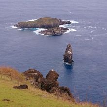 オロンゴのレース場所
