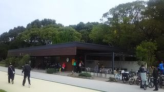 福岡のセントラルパークでティータイム。