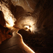 マンモス洞窟