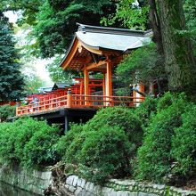 根津神社内の鳥居さんの行列がある乙女稲荷神社