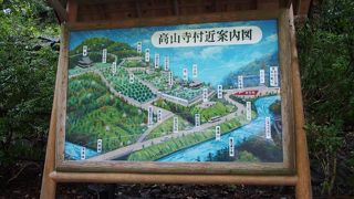 世界遺産　雨の高台寺も良かったです