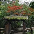 庭園散策だけでも楽しめる所です。