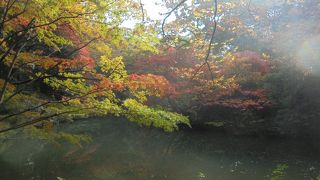 駒込駅からすぐ