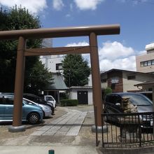 ほぼ全景 (手前右手は下り坂)