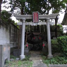 日吉稲荷神社 (拝殿の左隣り)