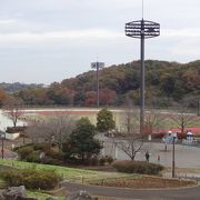 「野草園」で静かに紅葉を堪能